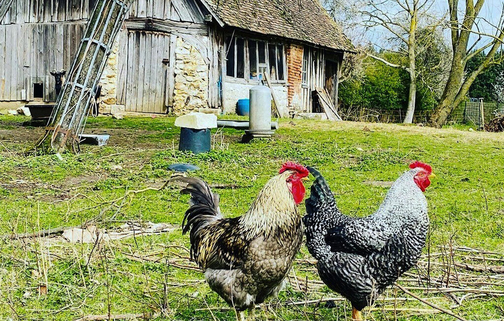 Semesterhus - Le Mesnil-Jourdain , Frankrike - FNE027 14