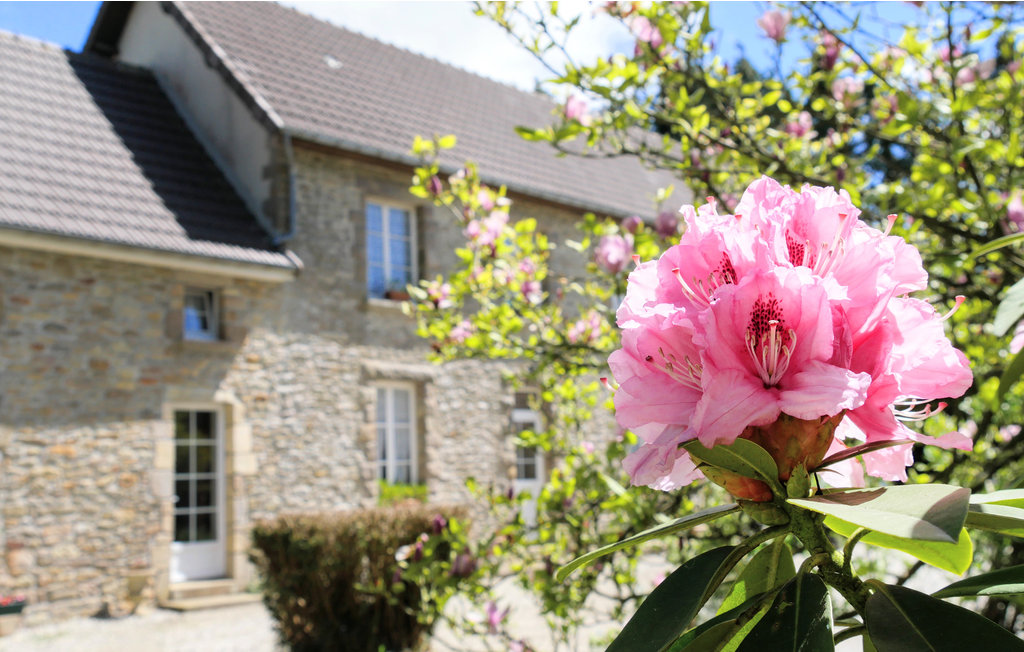 Semesterhus - Digosville , Frankrike - FNM154 11