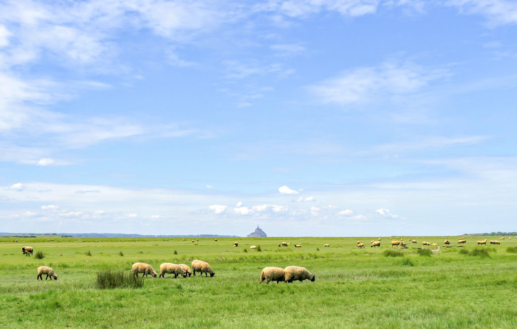 Semesterlägenhet - Ponts sous Avranches , Frankrike - FNM377 34