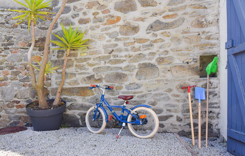 Ferienhaus - Saint-Vaast-la-Hougue , Frankreich - FNM560 11