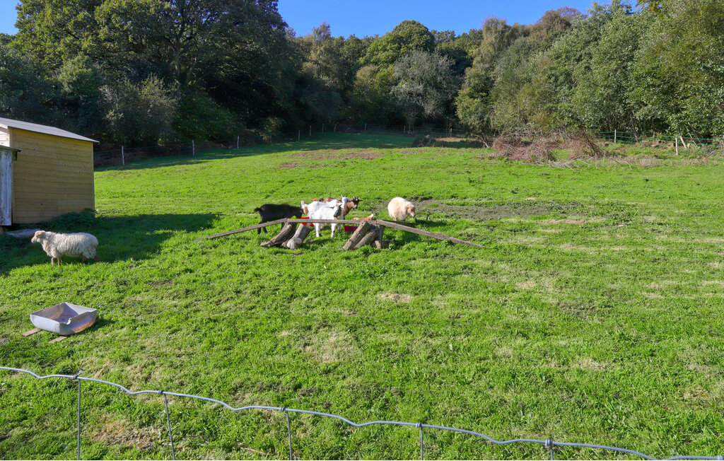 Location de vacances - La Pernelle , France - FNM563 19