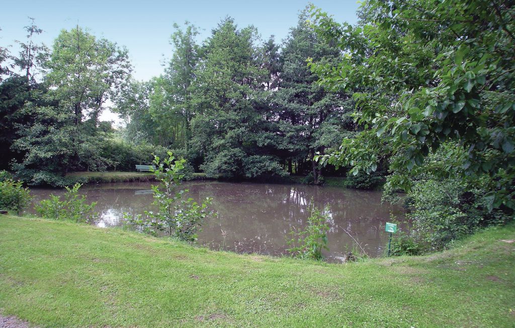 Feriehuse - Dimont , Frankrig - FNN001 7