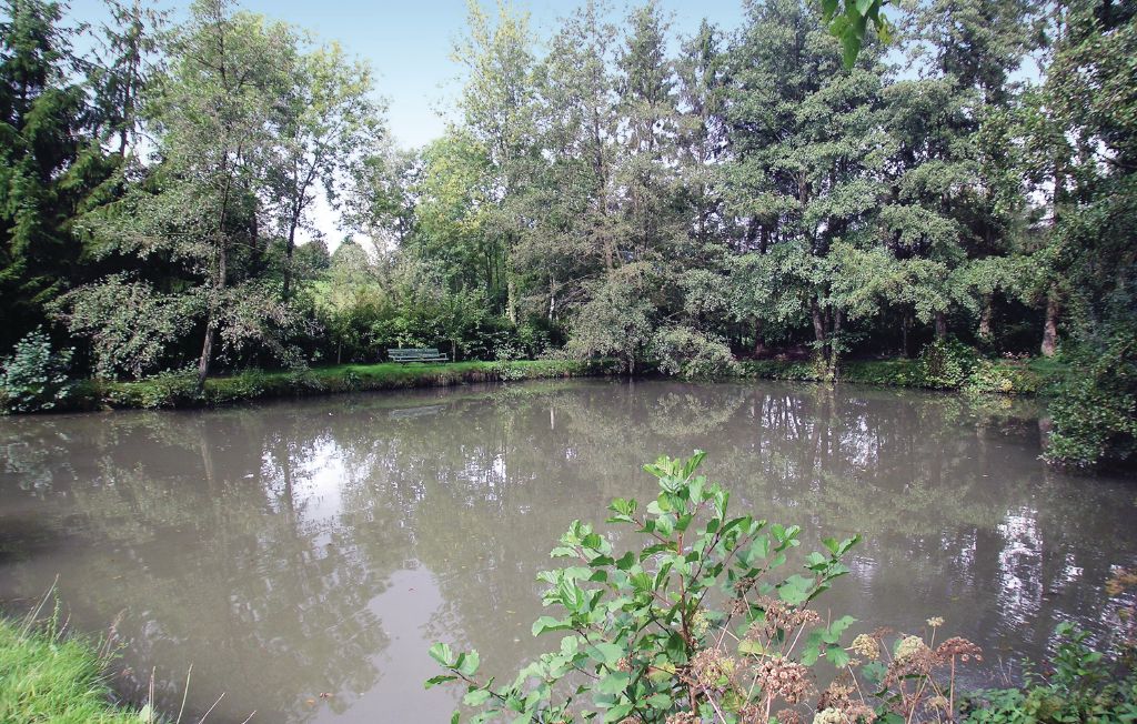 Feriehuse - Dimont , Frankrig - FNN001 16