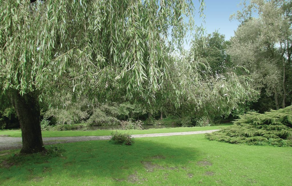 Feriehuse - Dimont , Frankrig - FNN001 10