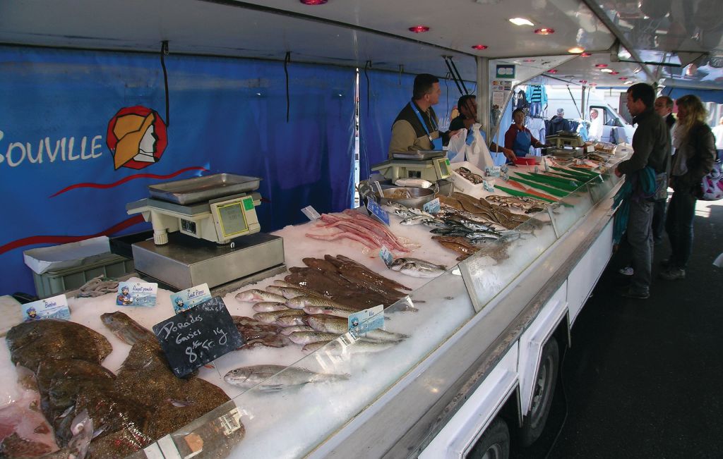 Ferienhaus - Ambleteuse , Frankreich - FNP034 16