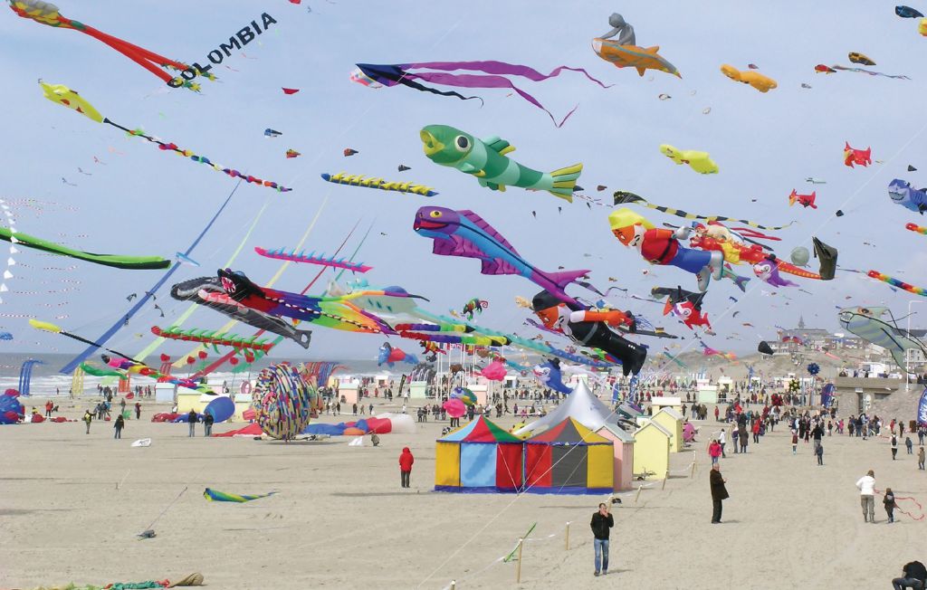 Ferienhaus - Ambleteuse , Frankreich - FNP034 15