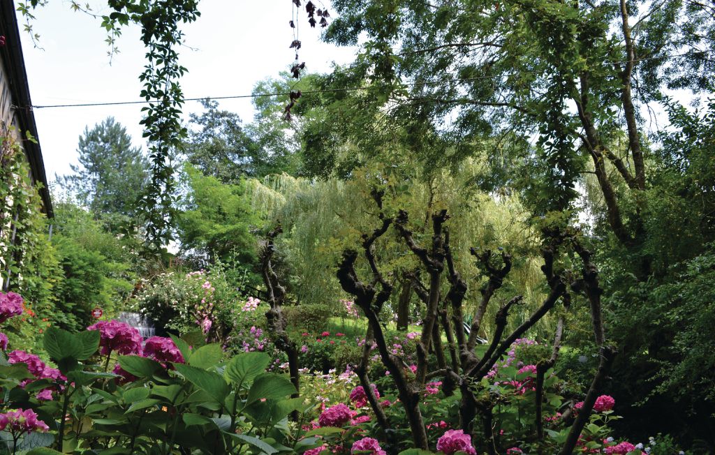 Feriehuse - Wimille , Frankrig - FNP026 14