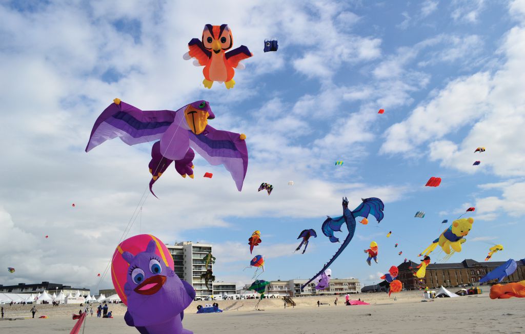 Feriehuse - Quiestède , Frankrig - FNP035 33