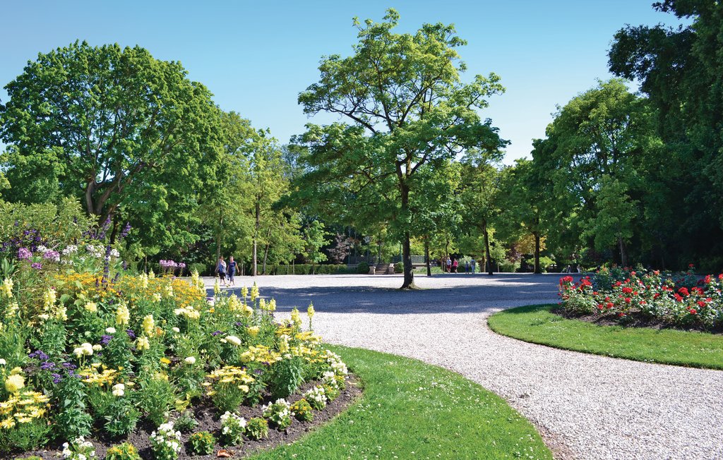 Feriehuse - Quiestède , Frankrig - FNP035 38