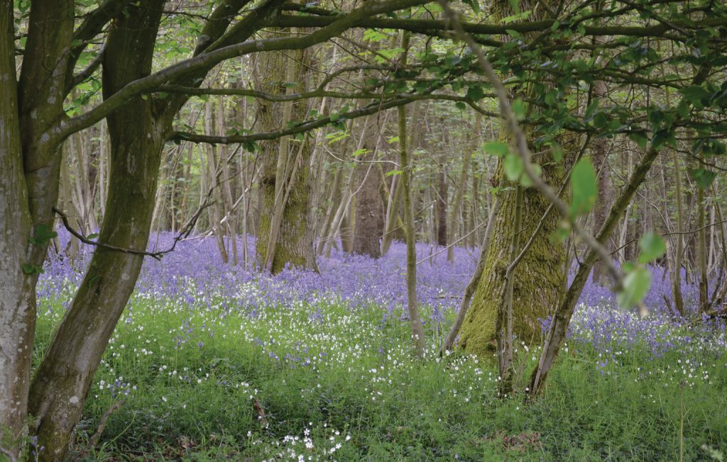 Semesterhus - Embry , Frankrike - FNP018 20