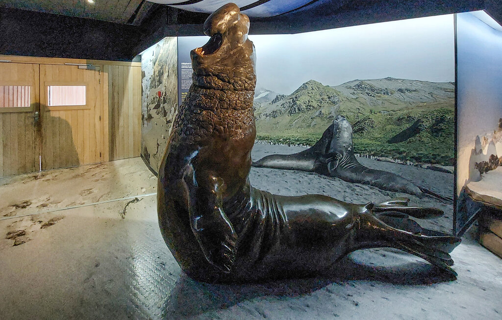 Ferienwohnung - Stella-Plage , Frankreich - FNP186 24