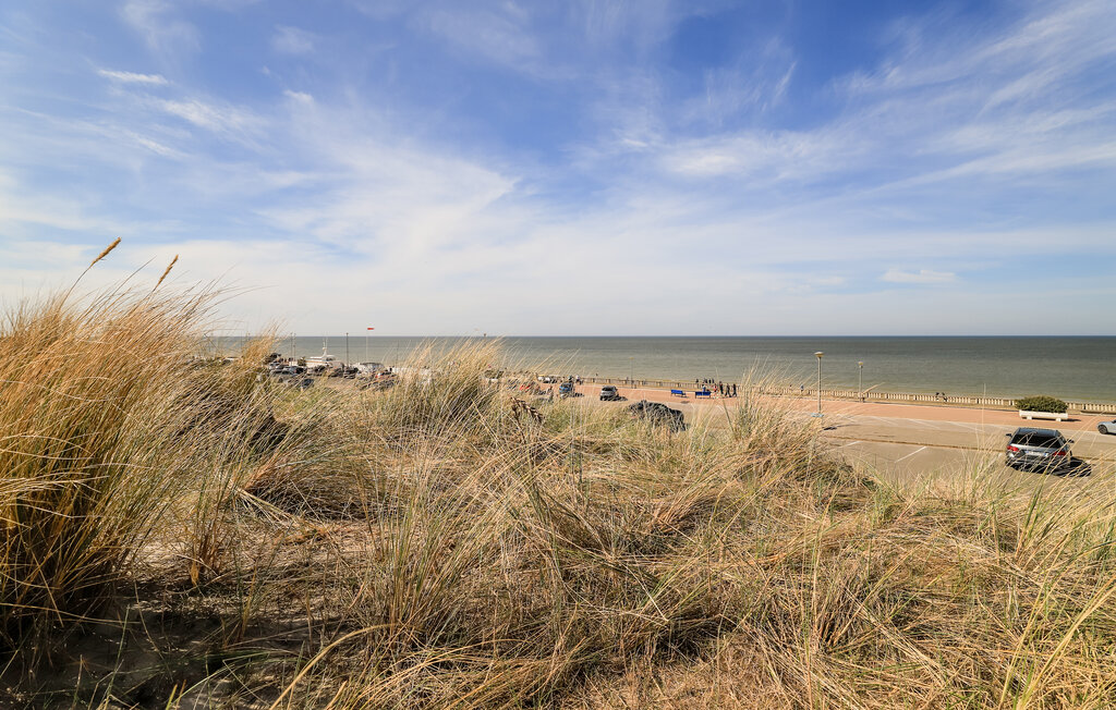 Ferienwohnung - Stella-Plage , Frankreich - FNP209 23