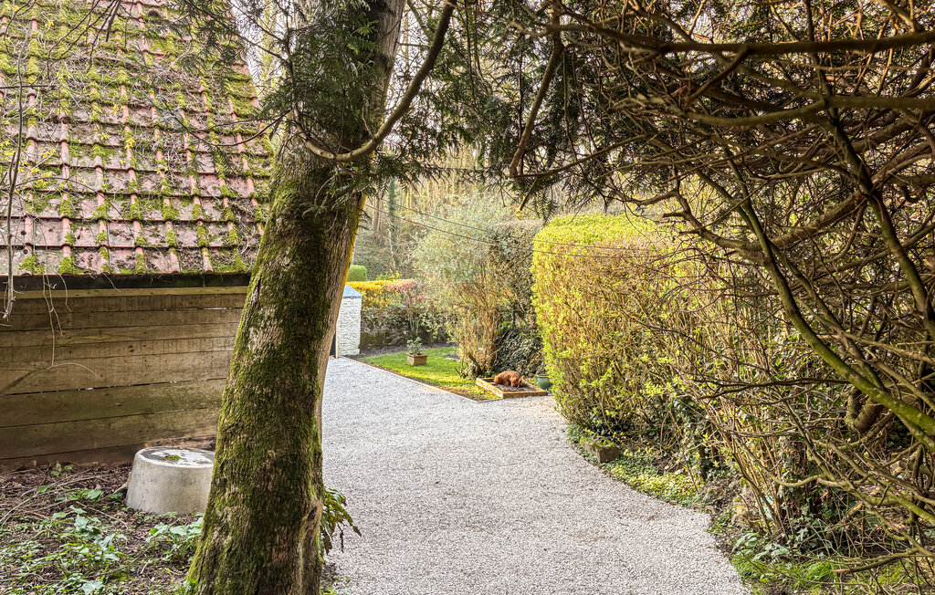 Feriehuse - Wimille , Frankrig - FNP026 8