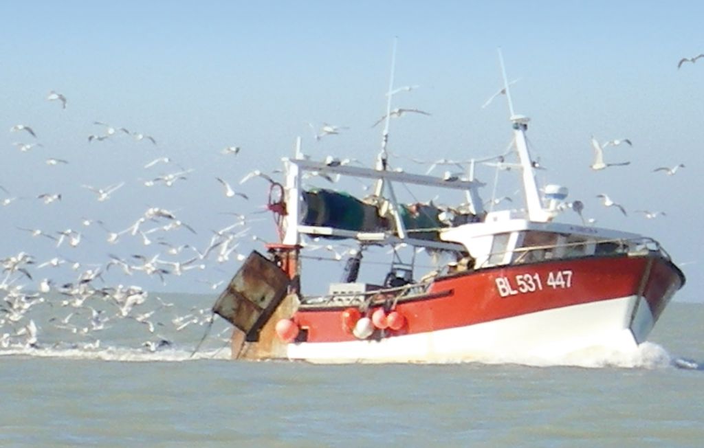Ferienwohnung - Ault , Frankreich - FNR036 18