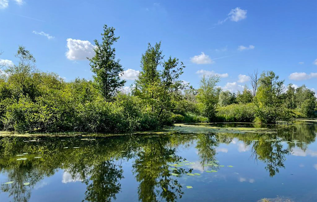 Feriehuse - Joli Chalet Hem-Monacu , Frankrig - FNR055 8