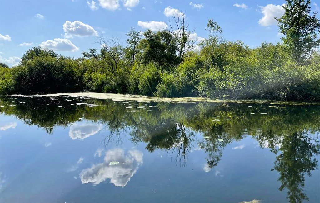 Feriehuse - Joli Chalet Hem-Monacu , Frankrig - FNR055 25