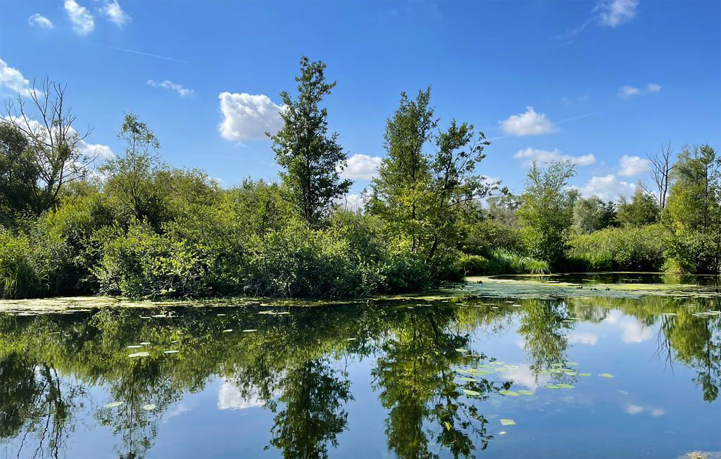 Feriehuse - Joli Chalet Hem-Monacu , Frankrig - FNR055 27