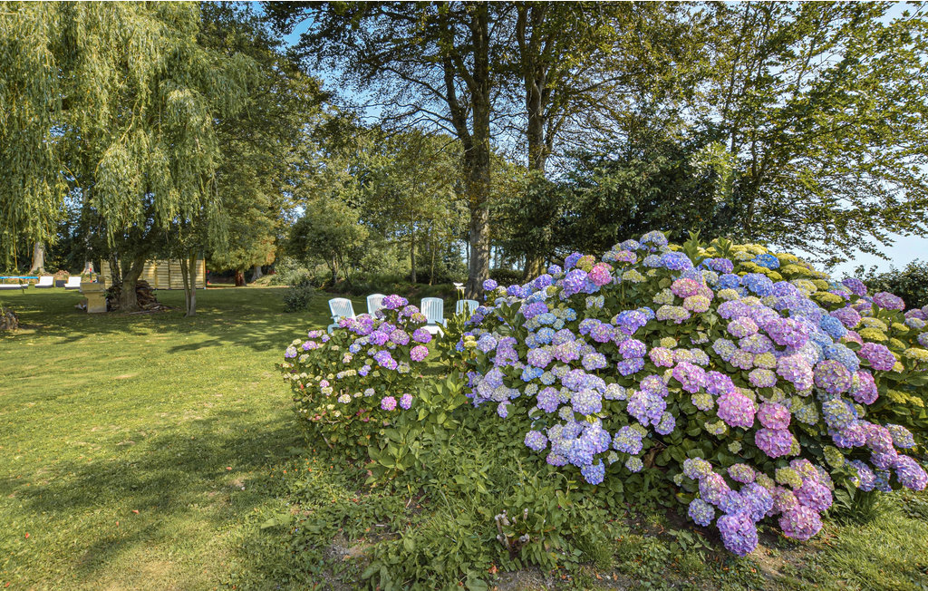 Ferienhaus - Saint-Martin-aux-Buneaux , Frankreich - FNS063 41