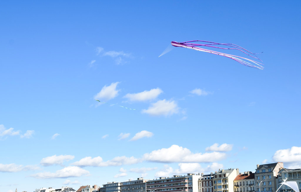 Ferienwohnung - Dieppe , Frankreich - FNS078 25