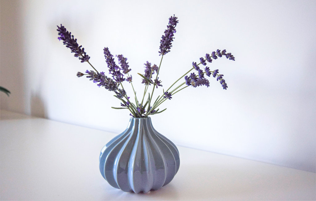 Semesterhus - Saint-Aubin-sur-Mer , Frankrike - FNS075 13