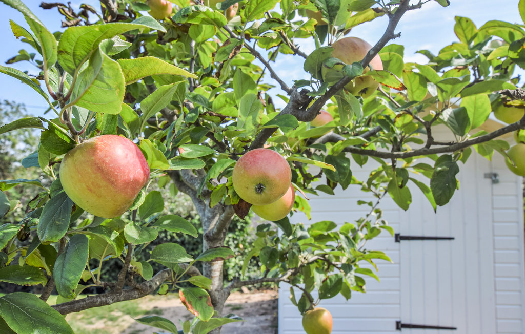 Semesterhus - Saint-Aubin-sur-Mer , Frankrike - FNS075 9