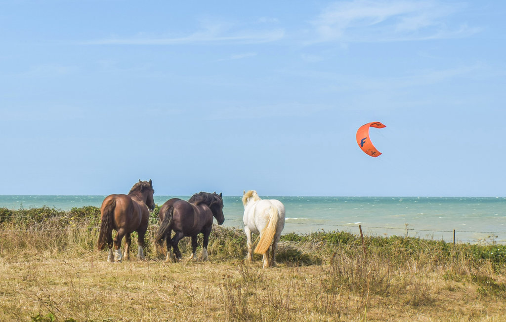 Semesterhus - Saint-Aubin-sur-Mer , Frankrike - FNS075 25