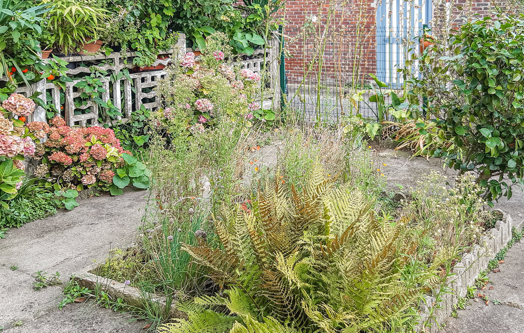 Ferienhaus - Dieppe , Frankreich - FNS082 9