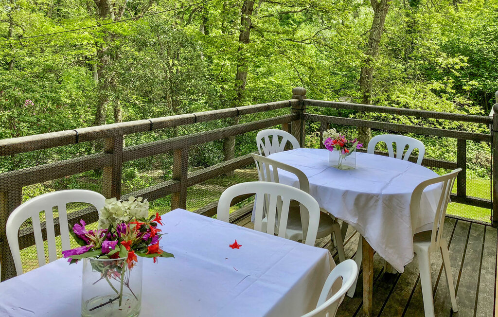 Domy wakacyjne - Saint Marguerite sur Mer , Francja - FNS133 2