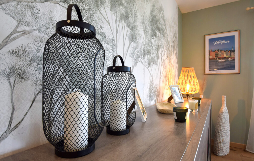 Domy wakacyjne - Etretat , Francja - FNS142 14