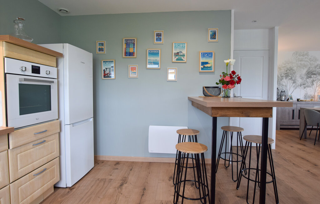 Domy wakacyjne - Etretat , Francja - FNS142 15