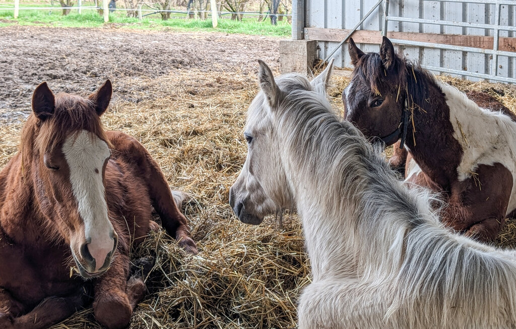 Ferienhaeuser - Bellaffaire , Frankreich - FPA068 20