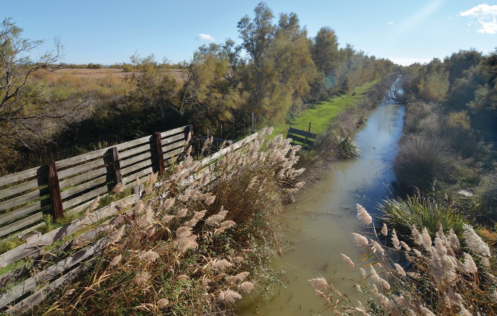 Location de vacances Le Sambuc , France FPB31 Novasol