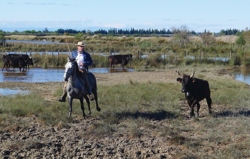 Feriehuse - Arles , Frankrig - FPB026 40
