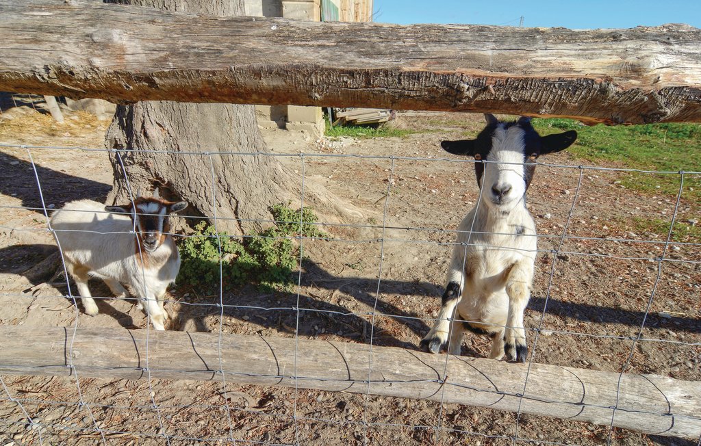 Semesterhus - Le Sambuc , Frankrike - FPB371 28