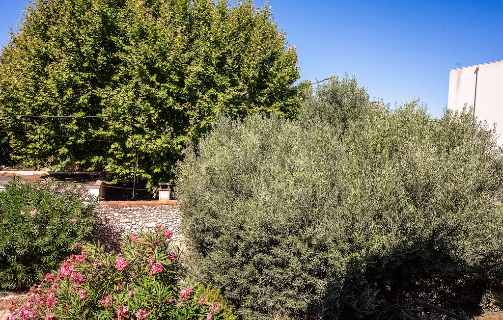 Ferienwohnung - Marignane , Frankreich - FPB525 6