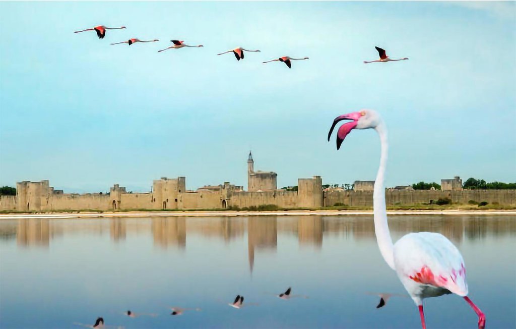 Feriehus - Arles , Frankrike - FPB537 21