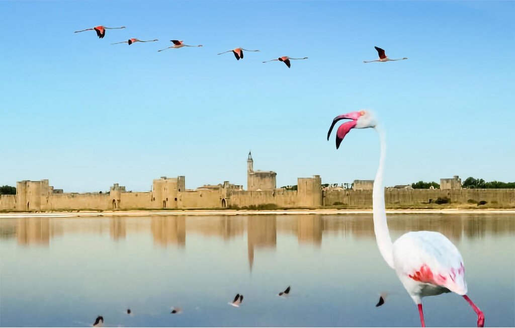 Ferienhaus - Arles , Frankreich - FPB558 27