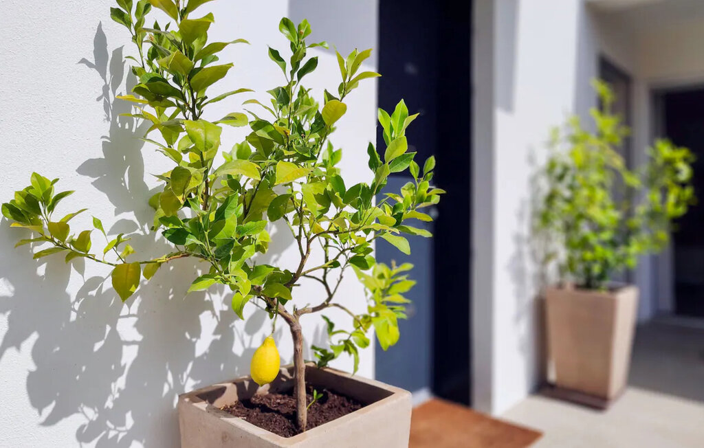 Feriehus - Marseille , Frankrike - FPB583 9