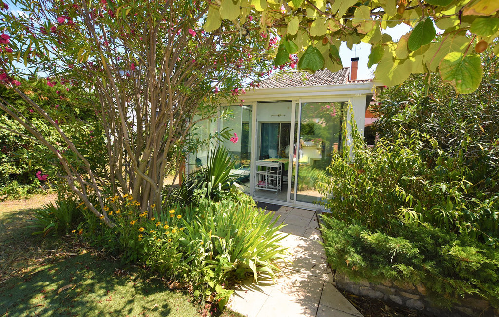 Location de vacances - Donzère , France - FPD383 8