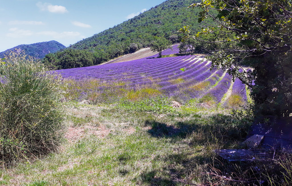Feriehus - Dieulefit , Frankrike - FPD396 12