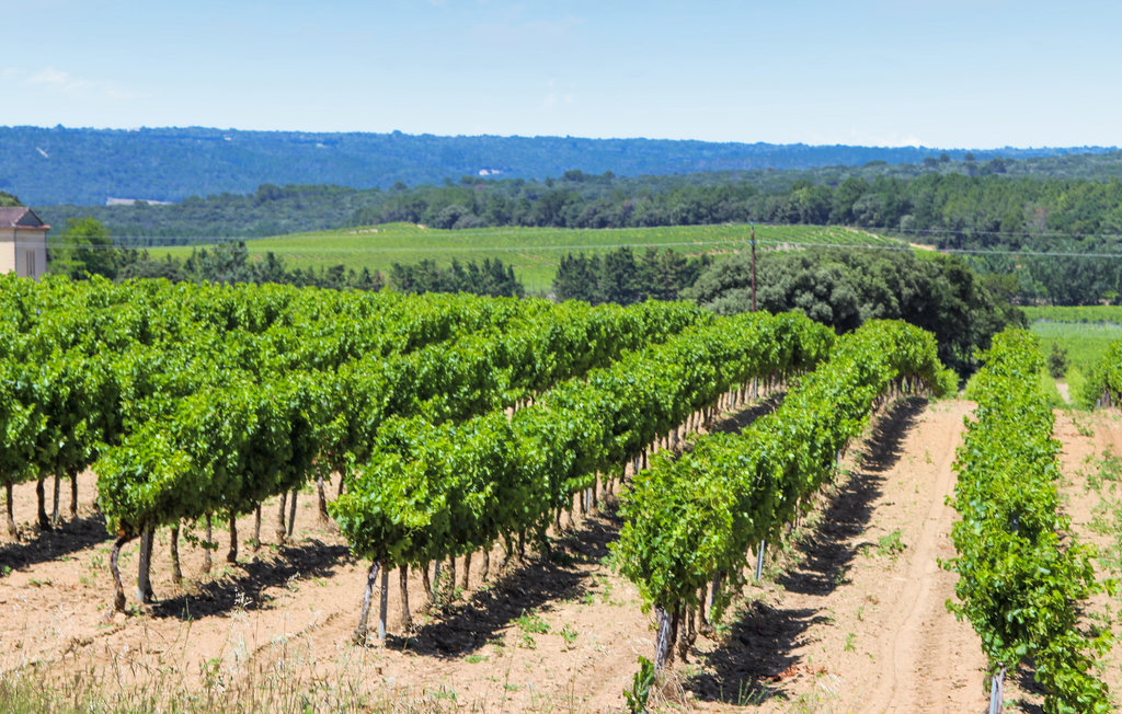 Ferienhaus - Pierrelatte , Frankreich - FPD391 25