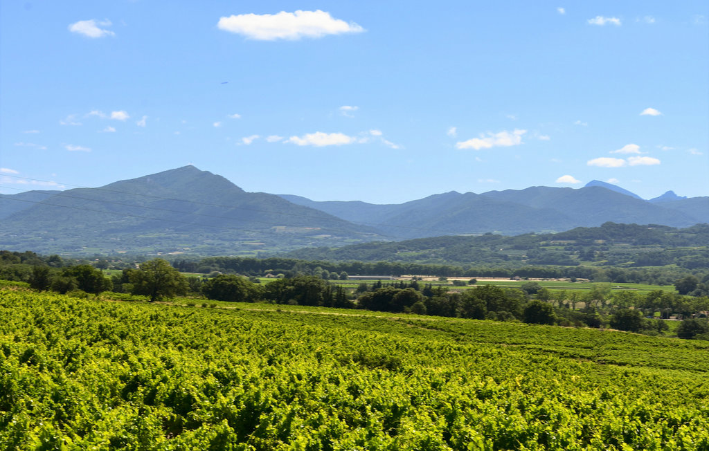 Feriehuse - Saint-Maurice-sur-Eygues , Frankrig - FPD372 36