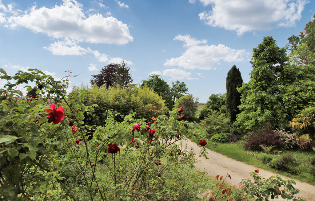Ferienhaus - Montoison , Frankreich - FPD365 13