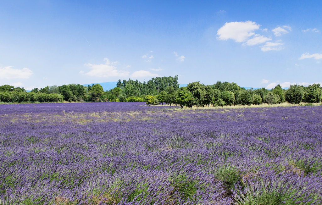 Appartement - Montélimar , France - FPD434 13