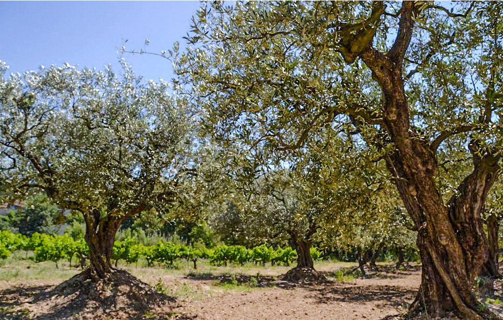 Appartement - Montélimar , France - FPD434 14