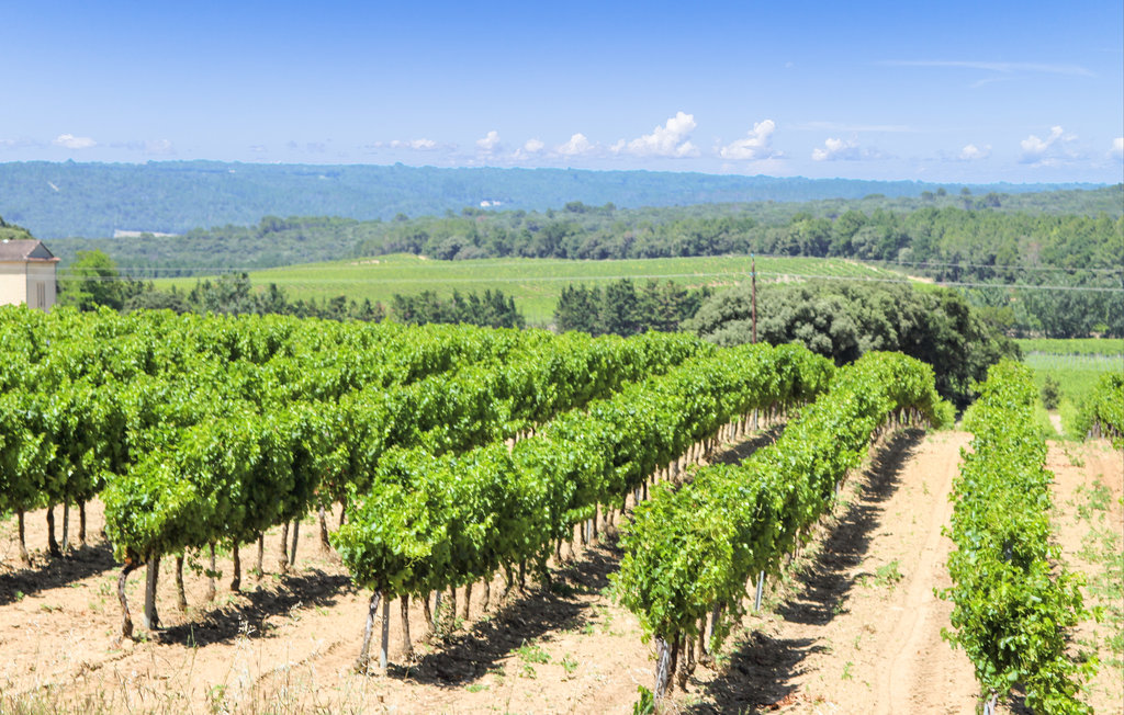 Appartement - Montélimar , France - FPD434 16