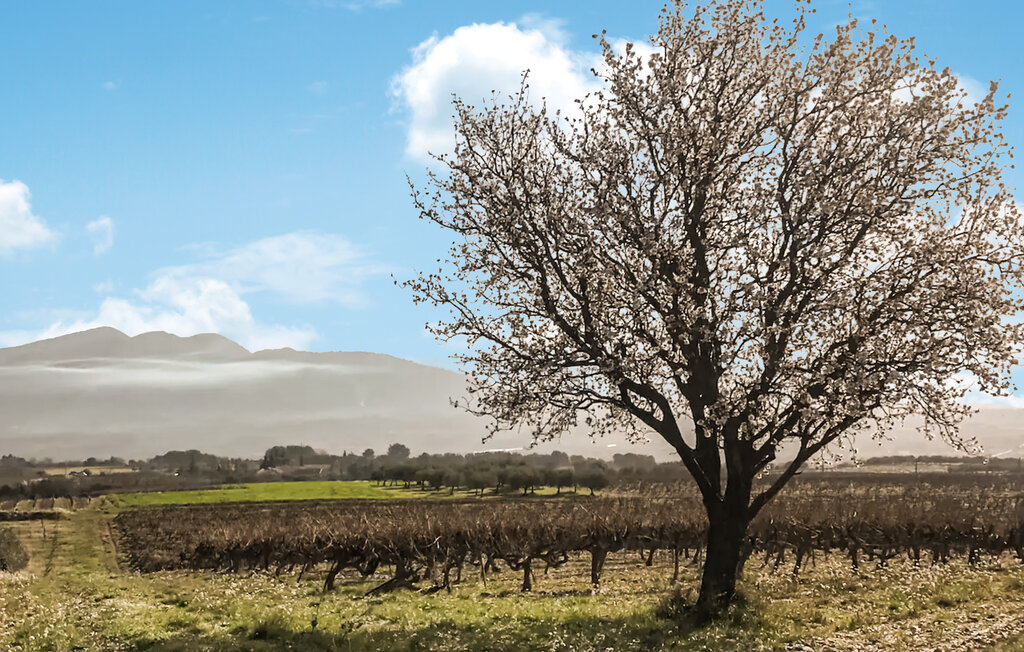 Location de vacances - Vinsobres , France - FPD471 16