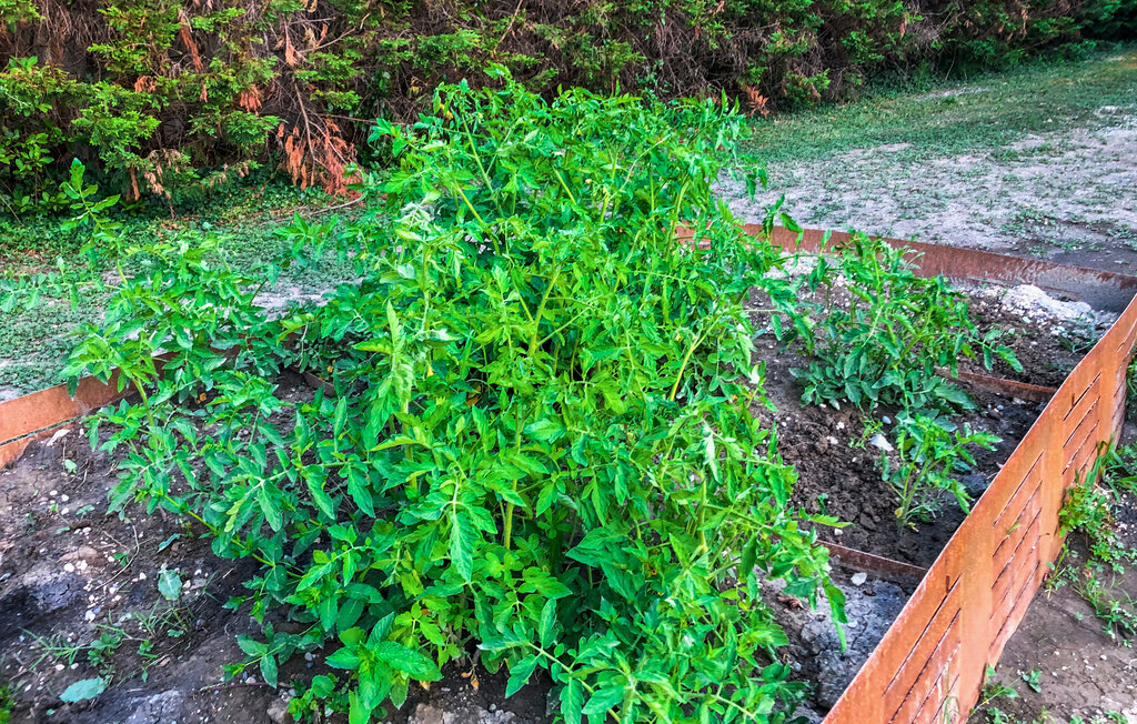 Feriehuse - Loriol-sur-Drome , Frankrig - FPD350 21