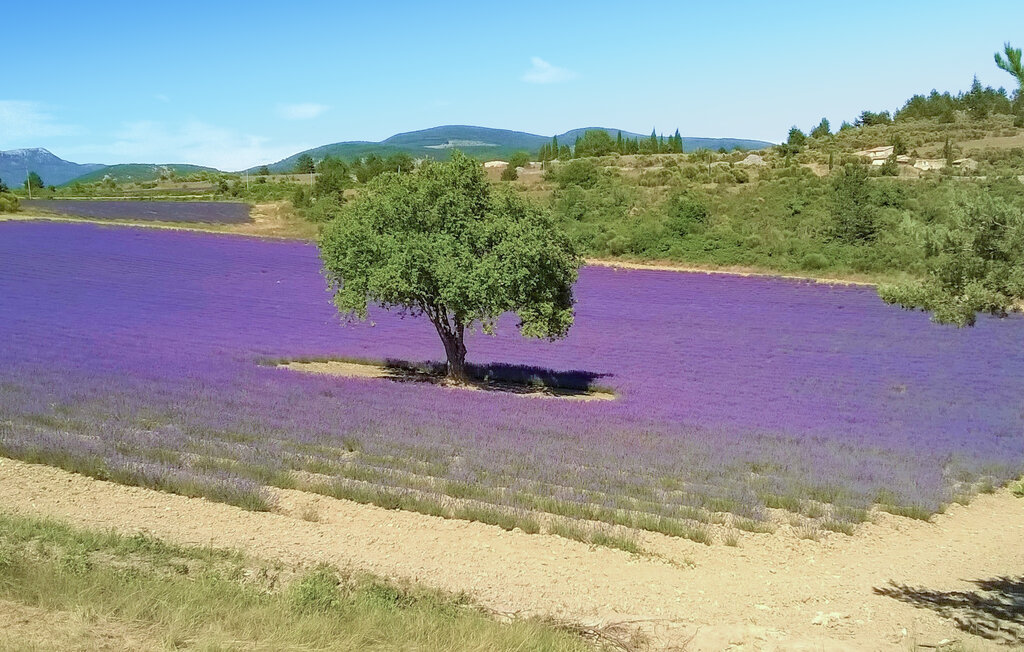 Location de vacances - Villes-sur-Auzon , France - FPP006 24