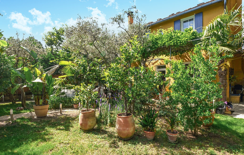 Feriehuse - Carpentras , Frankrig - FPP008 8